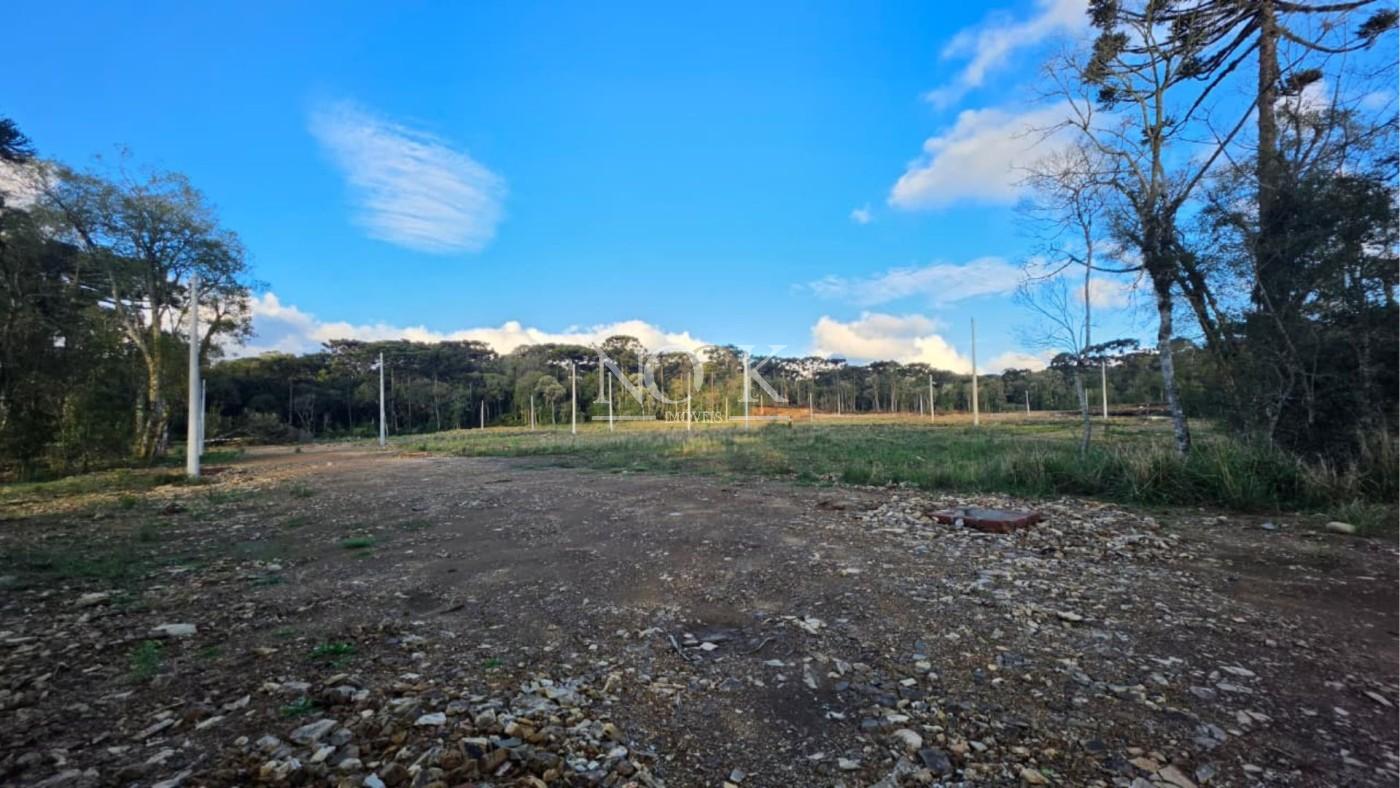 Terreno para Venda na cidade de Canela no bairro Eug&ecirc;nio Ferreira