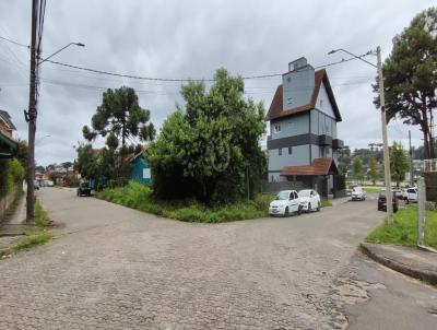 imagem-miniatura