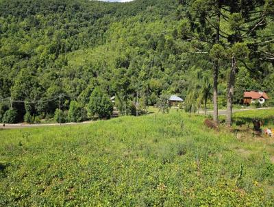 Stio para Venda, em Gramado, bairro Linha vila