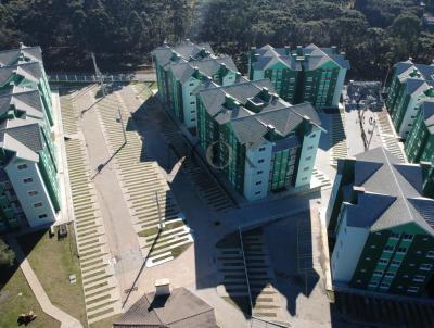 imagem-miniatura