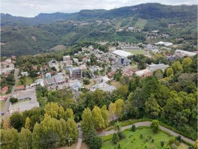 rea para Venda, em Gramado, bairro Vrzea Grande