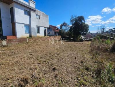 Terreno para Venda, em Canela, bairro Sesi