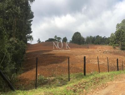 rea para Venda, em Canela, bairro Linha Banhado Grande