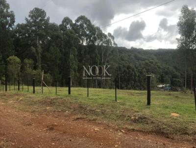 rea para Venda, em Canela, bairro Linha Banhado Grande