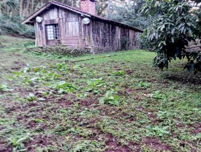 Stio para Venda, em Canela, bairro 