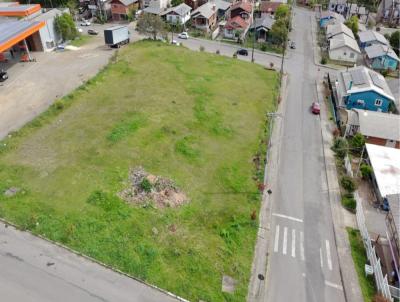 rea para Venda, em Canela, bairro So Rafael