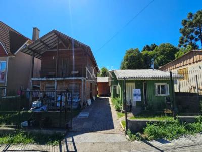 rea para Venda, em Canela, bairro Maggi