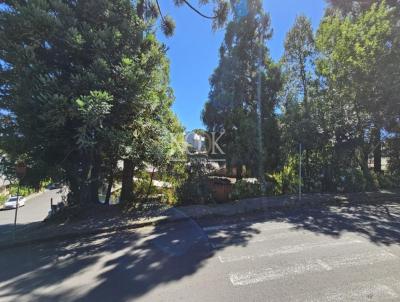 rea para Venda, em Canela, bairro Maggi