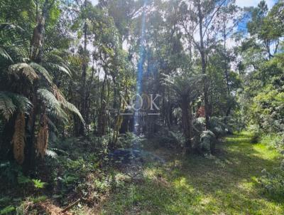 Terreno para Venda, em S�o Francisco de Paula, bairro Loteamento Colinas de S�o Francisco