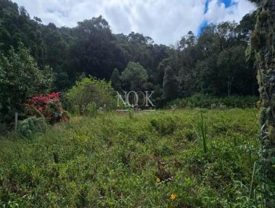 Terreno para Venda, em S�o Francisco de Paula, bairro Parque Su��o