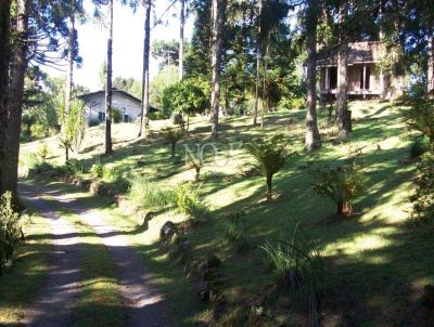 �rea para Venda, em Canela, bairro Caracol