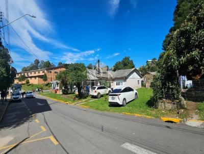 �rea para Venda, em Gramado, bairro V�rzea Grande