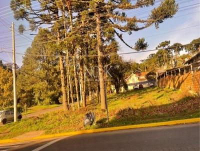 Terreno para Venda, em Canela, bairro Centro