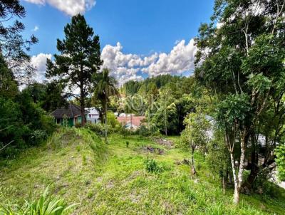 Terreno para Venda, em Gramado, bairro Vale dos Pinheiros