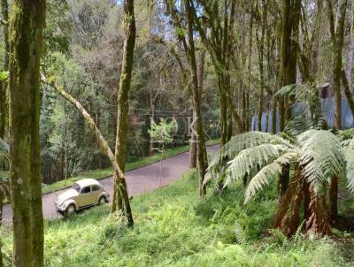 Terreno para Venda, em Canela, bairro Pinheiro Grosso