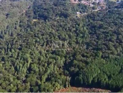 �rea para Venda, em Gramado, bairro Mato Queimado