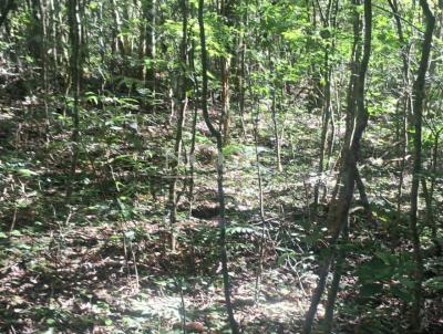 S�tio para Venda, em Canela, bairro 