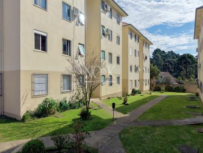 Apartamento para Venda, em Canela, bairro Ulisses de Abreu, 2 dormit�rios, 1 banheiro, 1 vaga