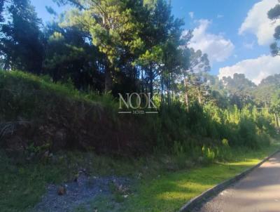 Terreno para Venda, em Gramado, bairro Dutra