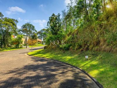 Terreno para Venda na cidade de Gramado no bairro P&oacute;rtico